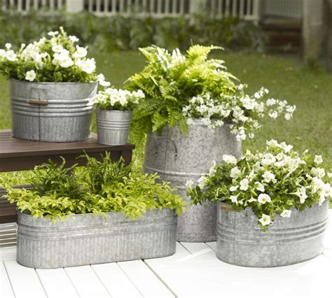 house plants in a metal bucket|metal plants in containers.